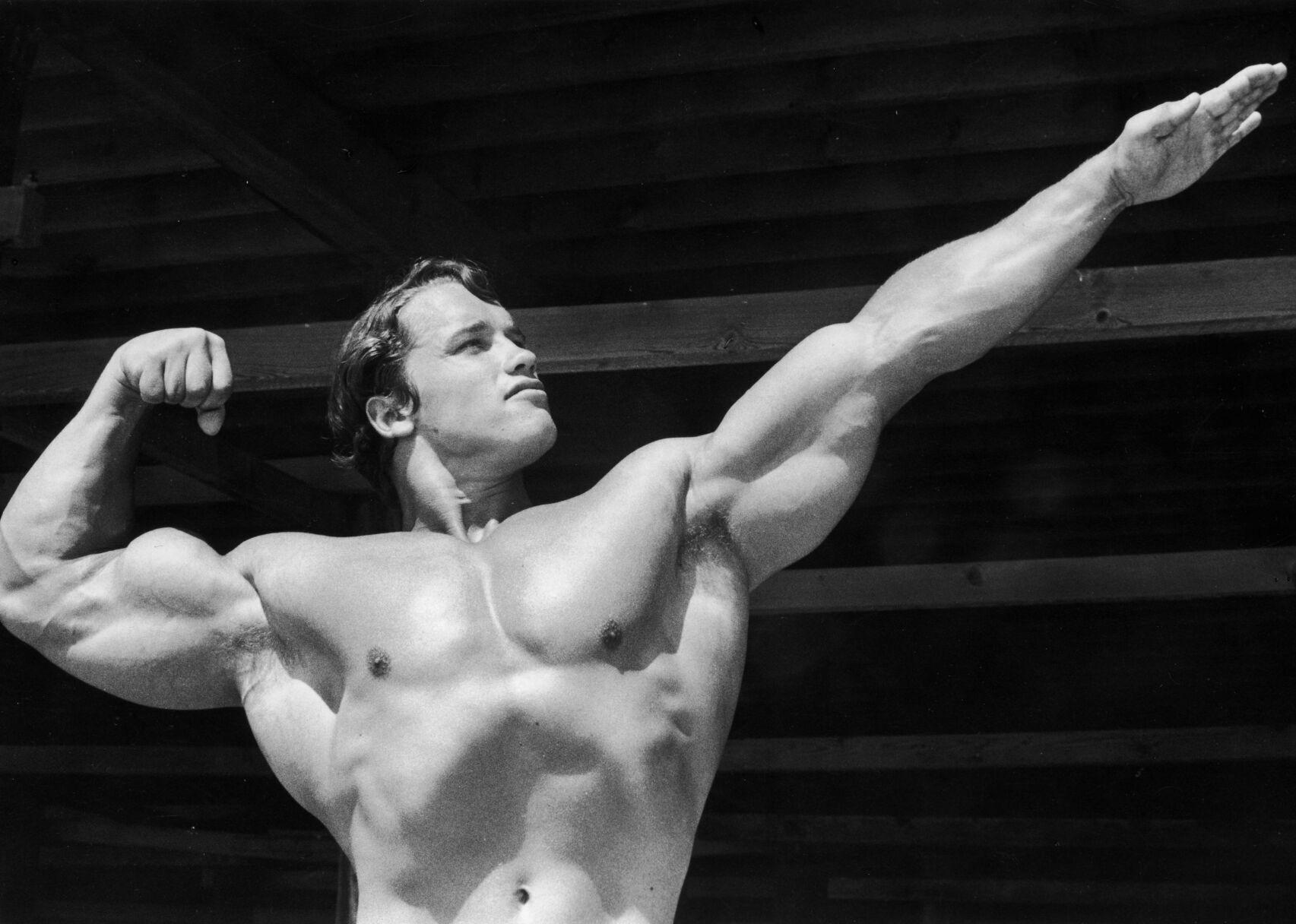 Answer #11: Who is Schwarzenegger?